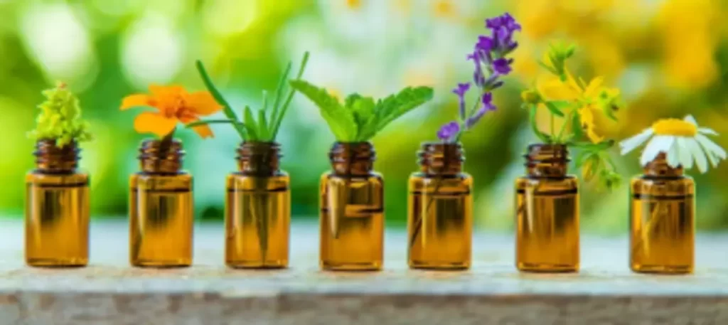 Aromaaz International ofrece aceites esenciales y aceites portadores a nivel mayorista