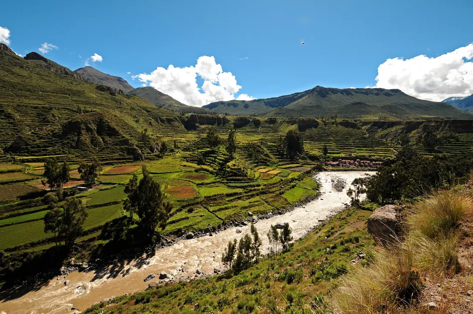 REMOTE Latin America lanza REMOTE Expedition en Perú para 2026