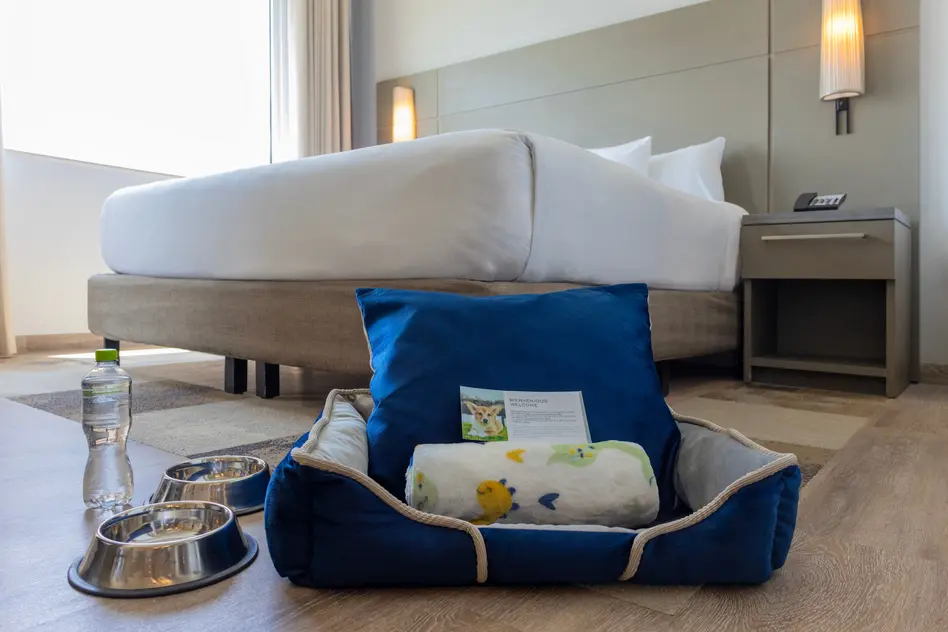 Cadenas hoteleras refuerzan programas pet-friendly ante auge de viajes con mascotas