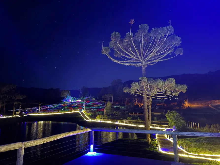 Gramado recebe evento Sunset Lumni + Luau em outubro