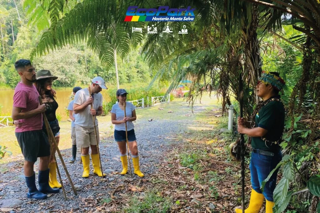 La selva se convierte en una biblioteca abierta donde cada sendero enseña a respirar con el ritmo del origen.