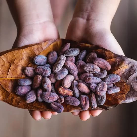 Cacao ritual: La cura de la nostalgia